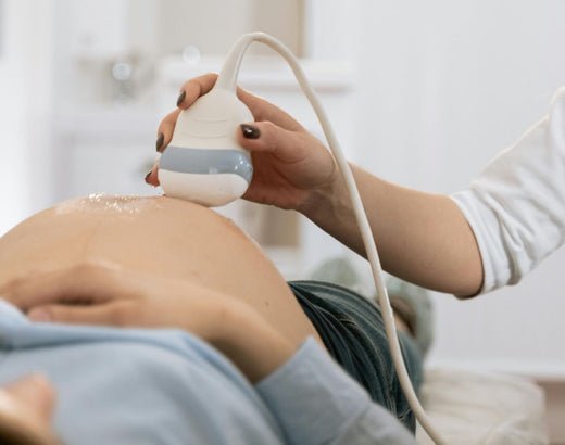 Cinquième mois : il ou elle ? - Daylily Paris