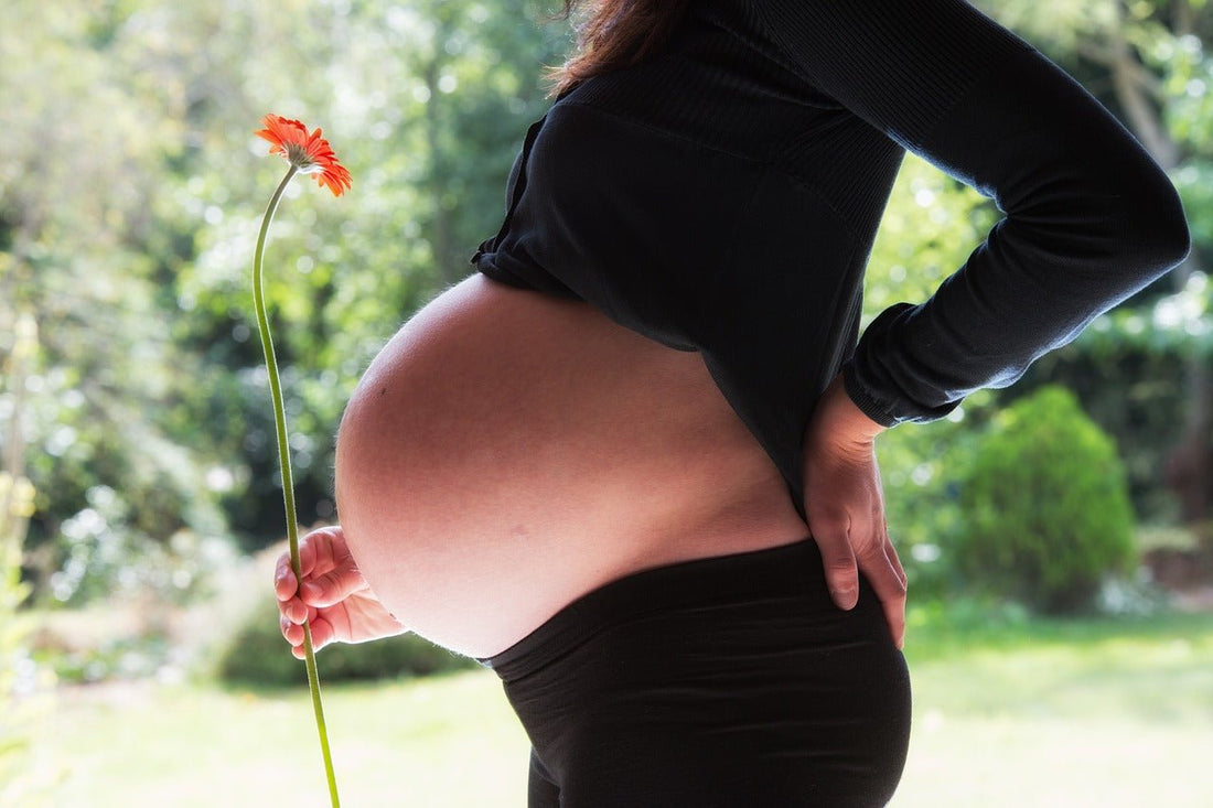 Début de grossesse : comment les vergetures apparaissent ? - Daylily Paris