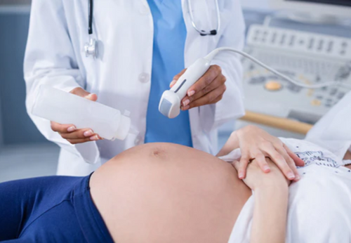 tisane et grossesse : quelles infusions pour une femme enceinte ? – Daylily  Paris