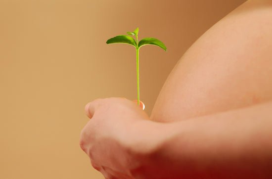 Faut-il se tourner vers la cosmétique bio pendant la grossesse ? - Daylily Paris