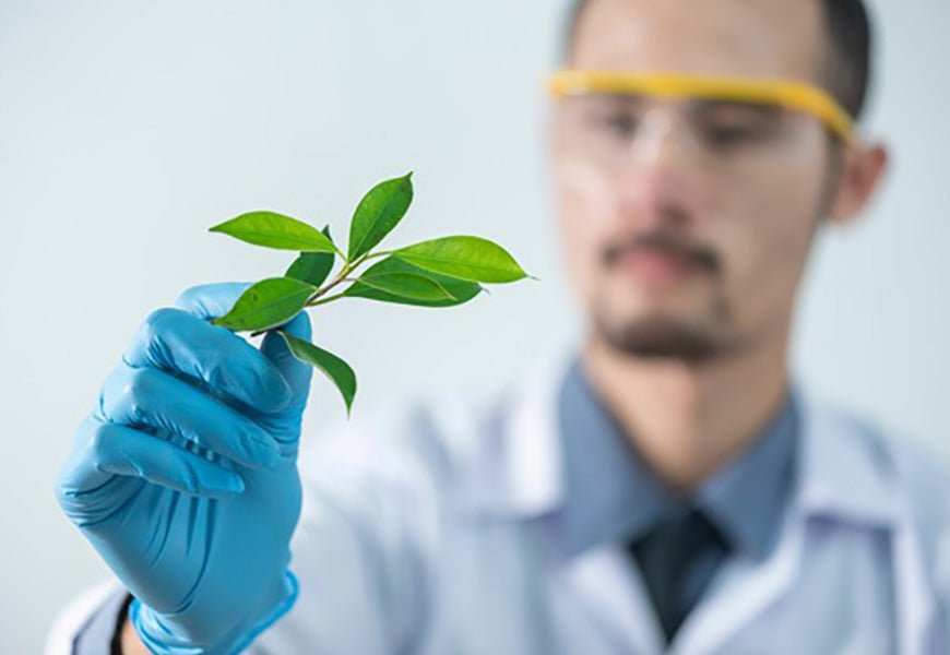 Rencontre avec notre expert toxicologue - Daylily Paris